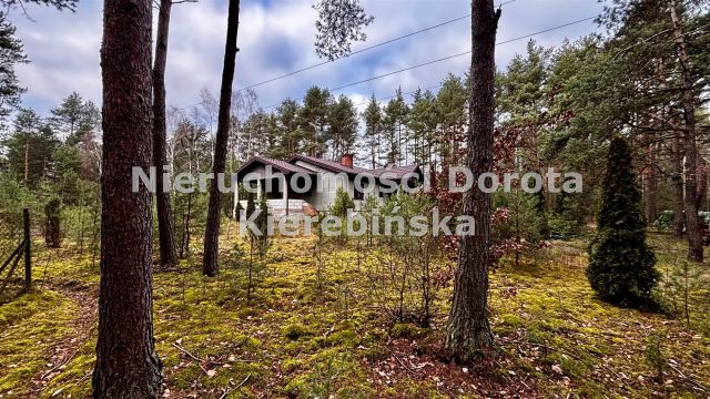 dom wolnostojący, 3 pokoje Inowłódz, Zagajkowa. Zdjęcie 22