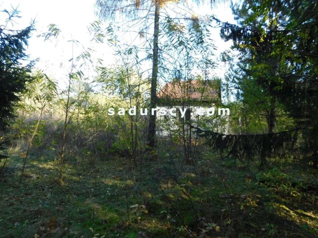 Działka budowlana Biały Ług. Zdjęcie 4