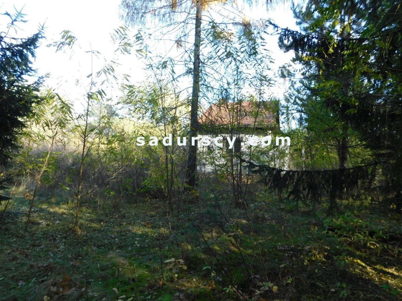 Działka budowlana Biały Ług. Zdjęcie 4