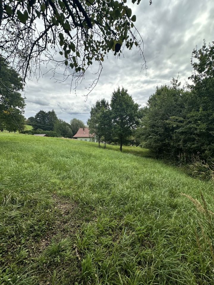 Działka budowlana Przedmieście Czudeckie. Zdjęcie 1