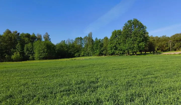 Działka budowlana Czarny Las