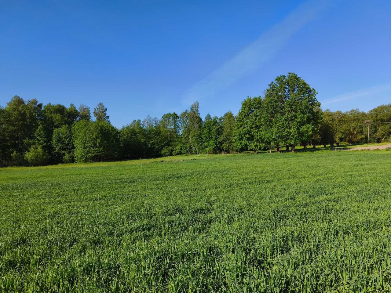 Działka budowlana Czarny Las. Zdjęcie 1