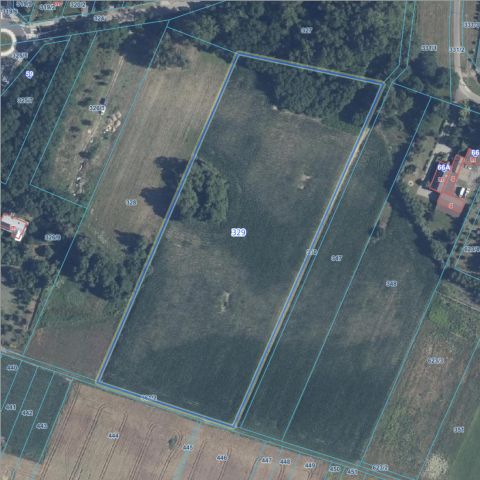 Działka siedliskowa Smolice, Smolice. Zdjęcie 1