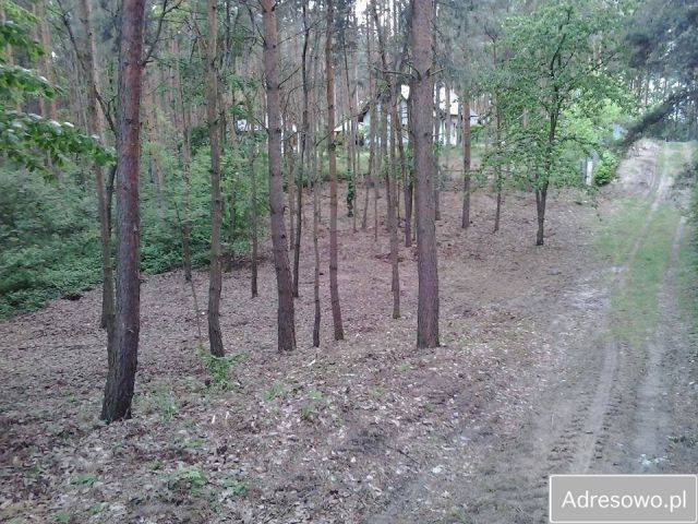 Działka rekreacyjna Rybiny. Zdjęcie 1