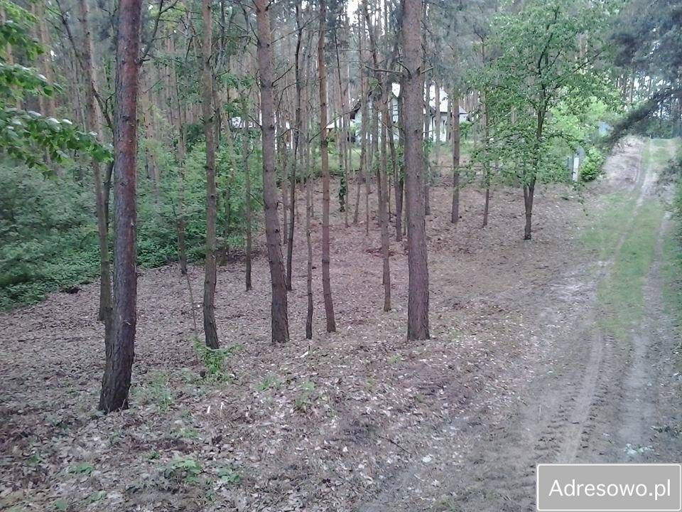 Działka rekreacyjna Rybiny