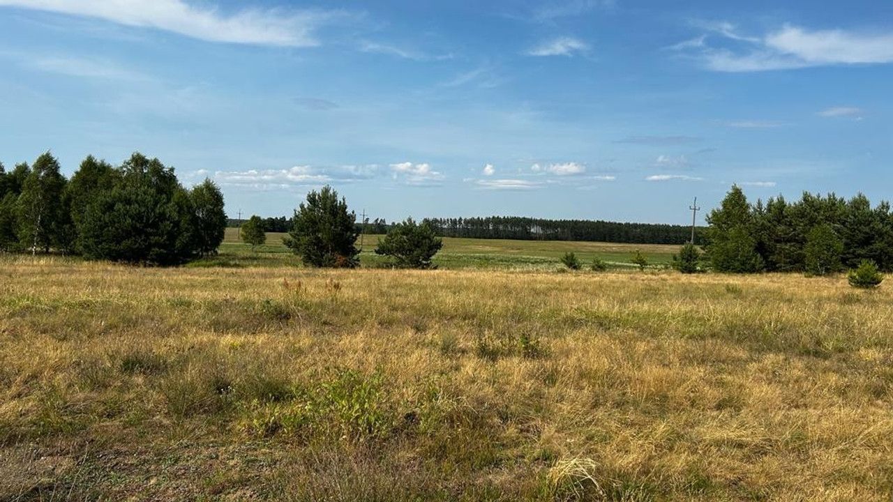 Działka rolno-budowlana Mosina. Zdjęcie 4