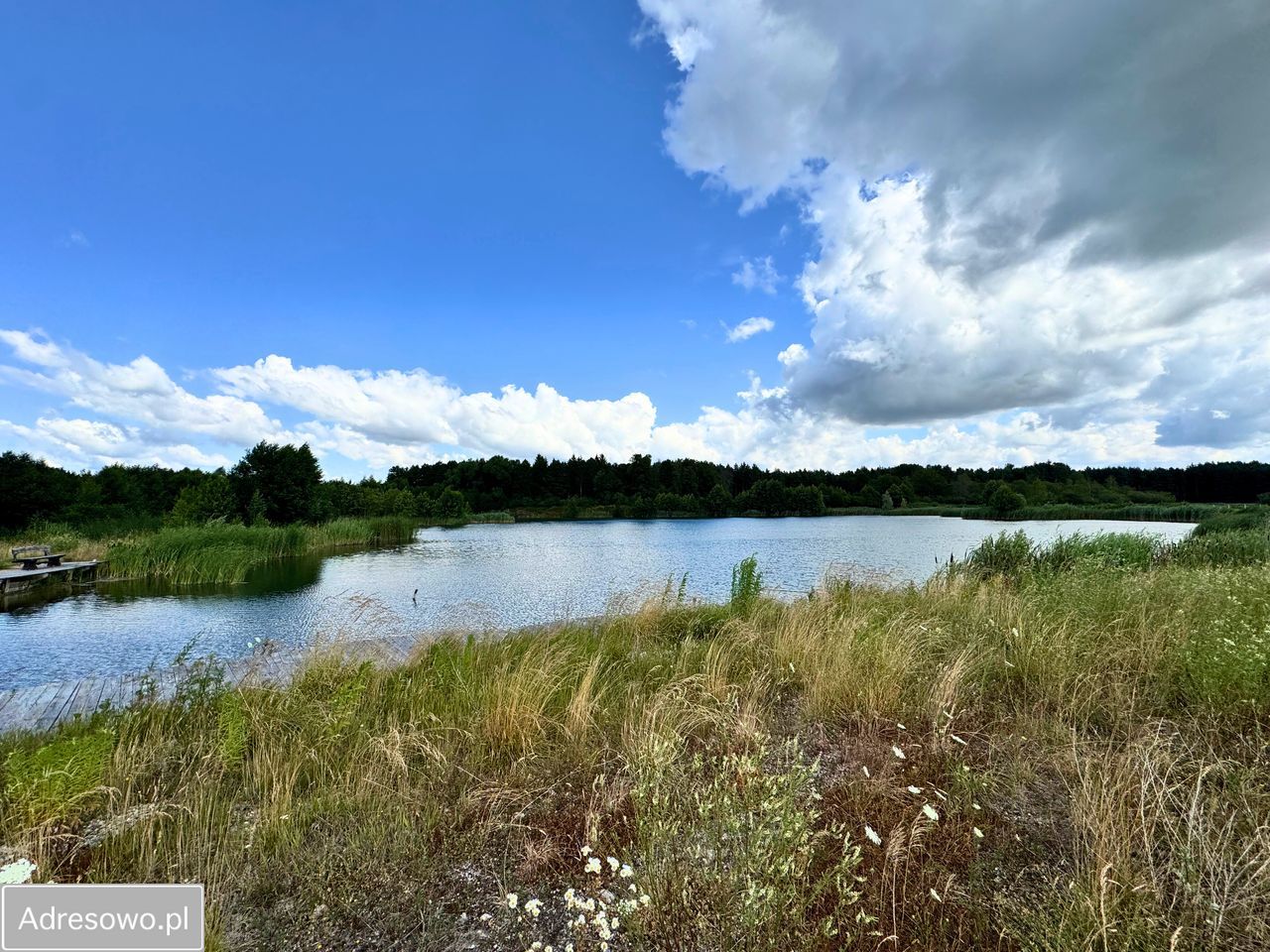 Działka rekreacyjna Chocianowiec