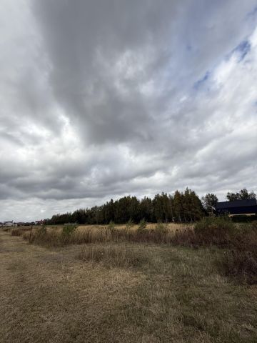 Działka budowlana Sękocin Nowy, ul. Na Polanie. Zdjęcie 2