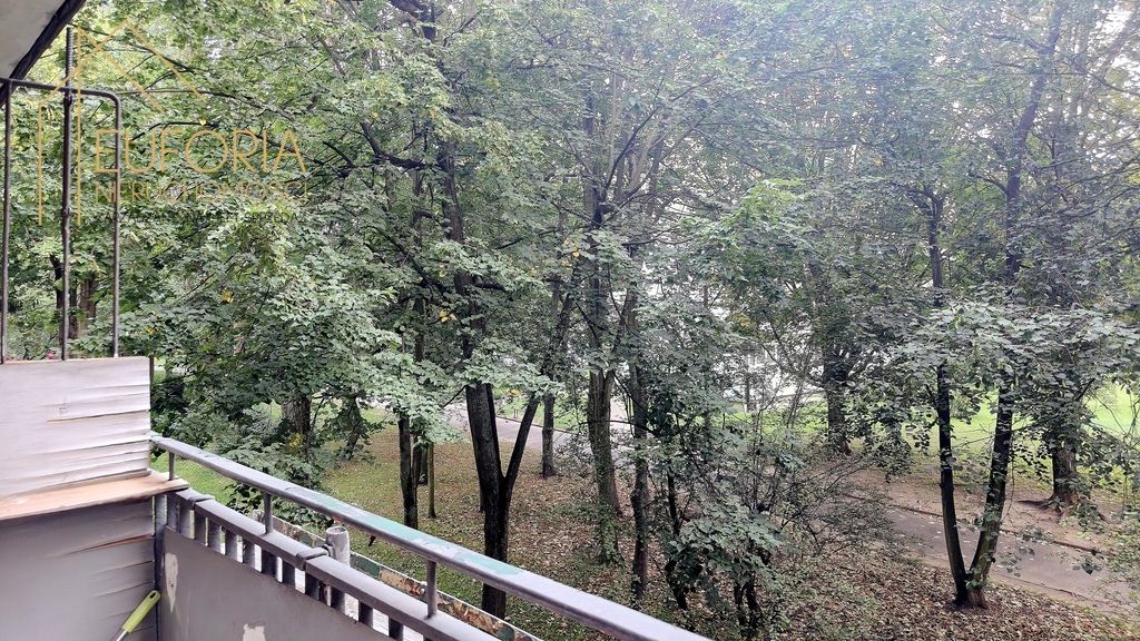 Zdjęcie 8