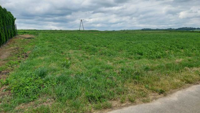 Działka rolno-budowlana Gorajec-Stara Wieś. Zdjęcie 1