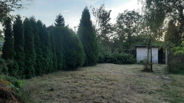 Działka rod Bytom, ul. Brzezińska. Zdjęcie 1