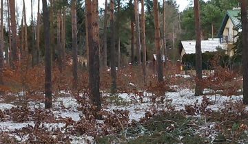 Działka leśna Marynino