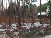 Działka leśna Marynino. Zdjęcie 1