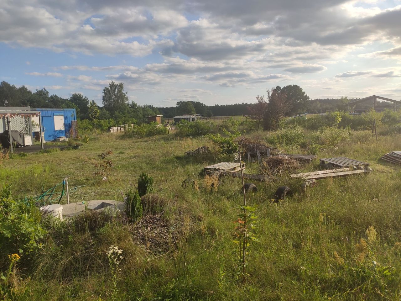 Działka budowlana Arciechów. Zdjęcie 4