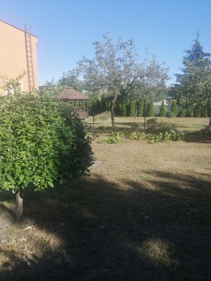 dom wolnostojący, 4 pokoje Pakość. Zdjęcie 4