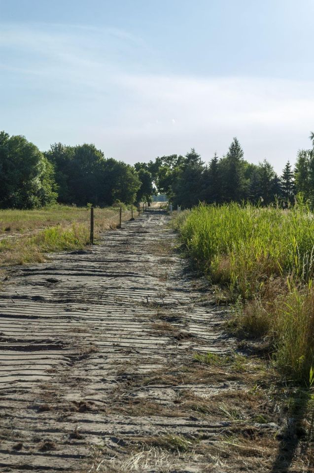 Działka budowlana Glinno kolonia. Zdjęcie 7