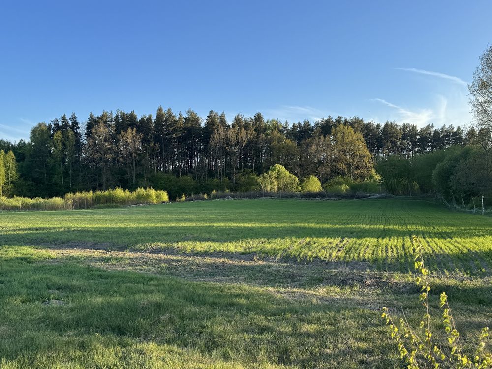 Działka rolno-budowlana Radomyśl. Zdjęcie 4