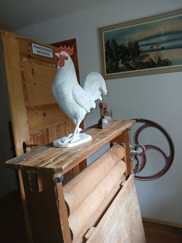 dom wolnostojący, 5 pokoi Chmieleń. Zdjęcie 13