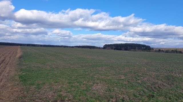 Działka budowlana Guty. Zdjęcie 1