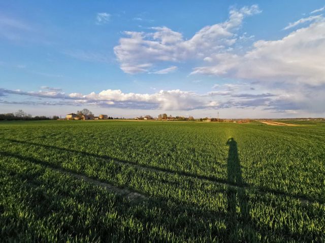 Działka rolno-budowlana Rzuchów. Zdjęcie 1