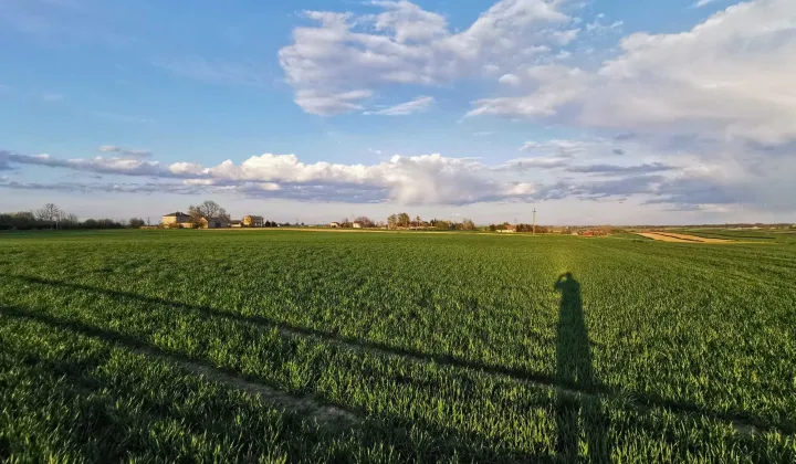 Działka rolno-budowlana Rzuchów
