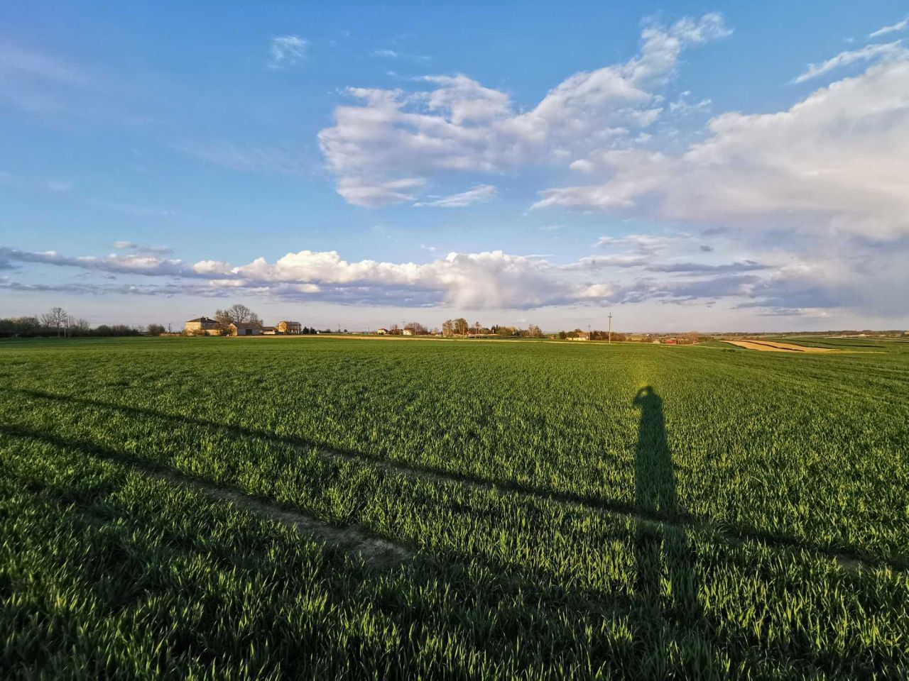 Działka rolno-budowlana Rzuchów