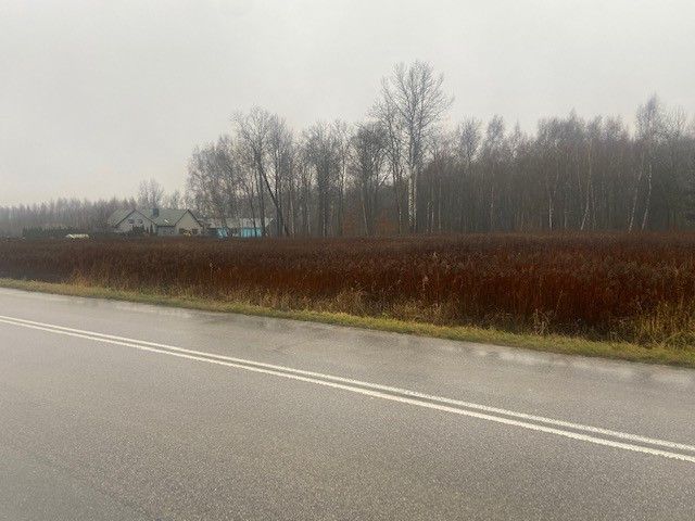 Działka inwestycyjna Solec-Zdrój, ul. Tadeusza Kościuszki. Zdjęcie 3