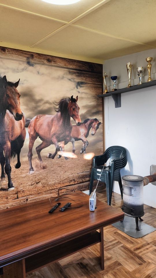 Działka rod Pudliszki. Zdjęcie 4