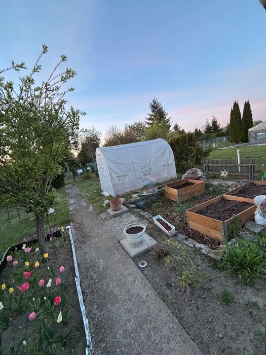 Działka rod Stargard, ul. Klonowa. Zdjęcie 3