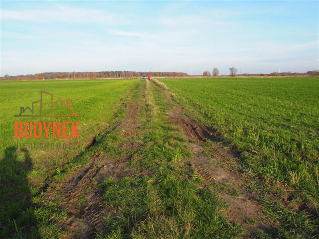 Działka rolna Krupy. Zdjęcie 11