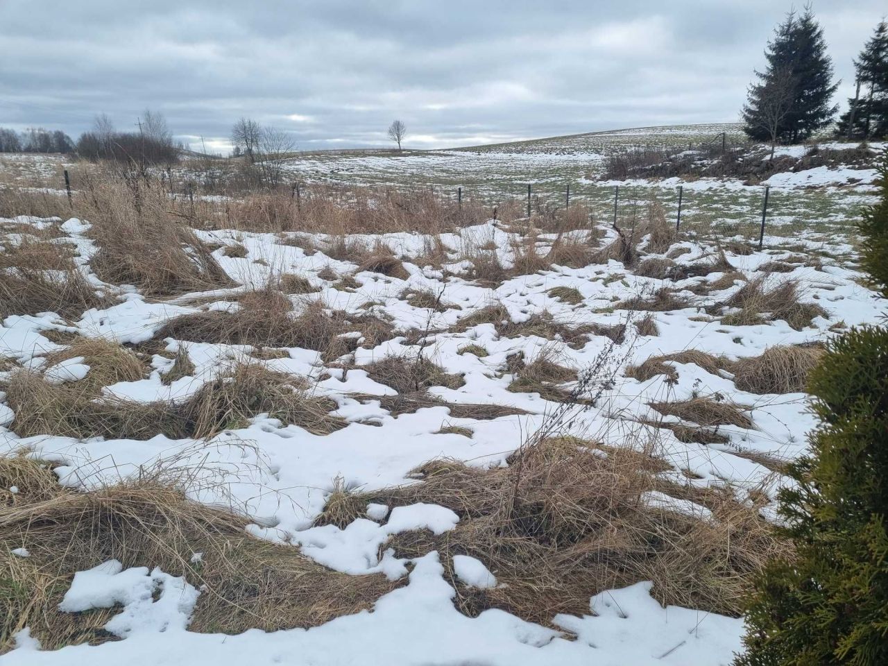 Działka budowlana Łaśmiady. Zdjęcie 7