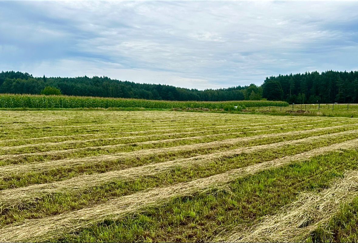 Działka budowlana Stary Gromadzyn. Zdjęcie 6