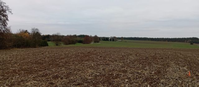 Działka budowlana Szydłowo, ul. Sportowa. Zdjęcie 1