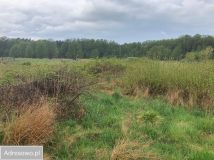 Działka inwestycyjna Lubiatowo, ul. Bałtycka. Zdjęcie 3