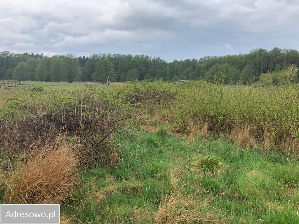 Działka inwestycyjna Lubiatowo, ul. Bałtycka. Zdjęcie 4
