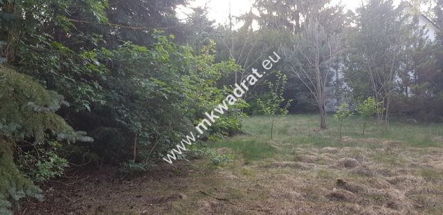 Działka budowlana Rozalin. Zdjęcie 2