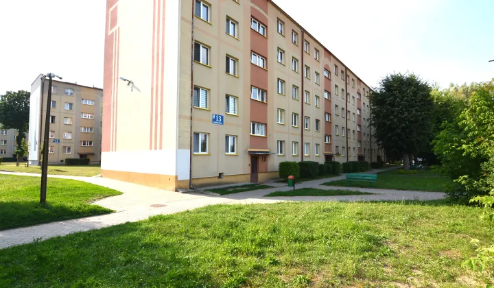 Mieszkanie 1-pokojowe Zambrów, ul. Grunwaldzka