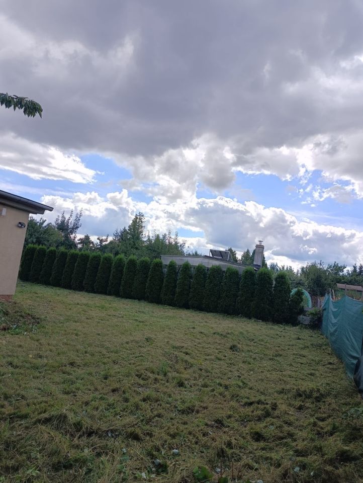 Działka rod Żychlin, EMIT OGRÓD NR 3. Zdjęcie 4