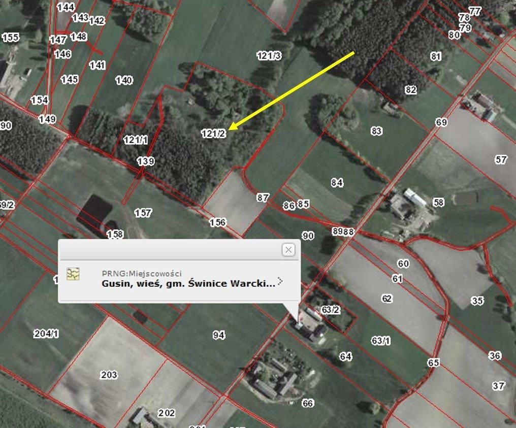 Działka leśna Gusin. Zdjęcie 2