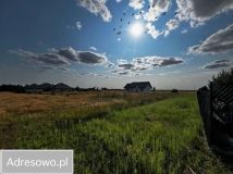 Działka budowlana Pałecznica. Zdjęcie 4