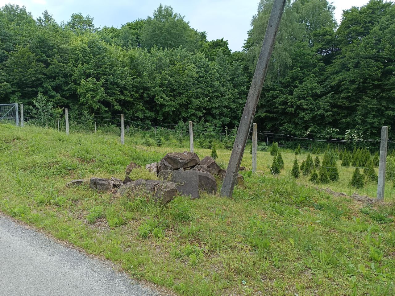 Działka budowlana Łysa Góra Przymiarki. Zdjęcie 3