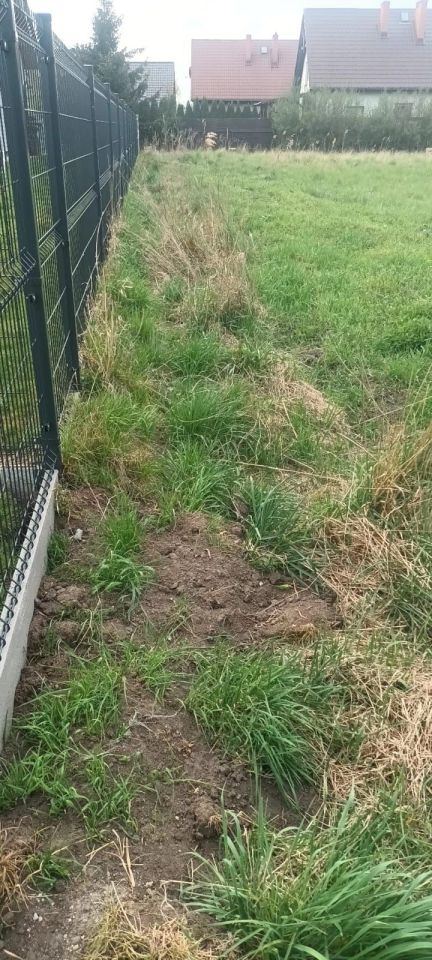 Działka budowlana Rokitnica. Zdjęcie 6