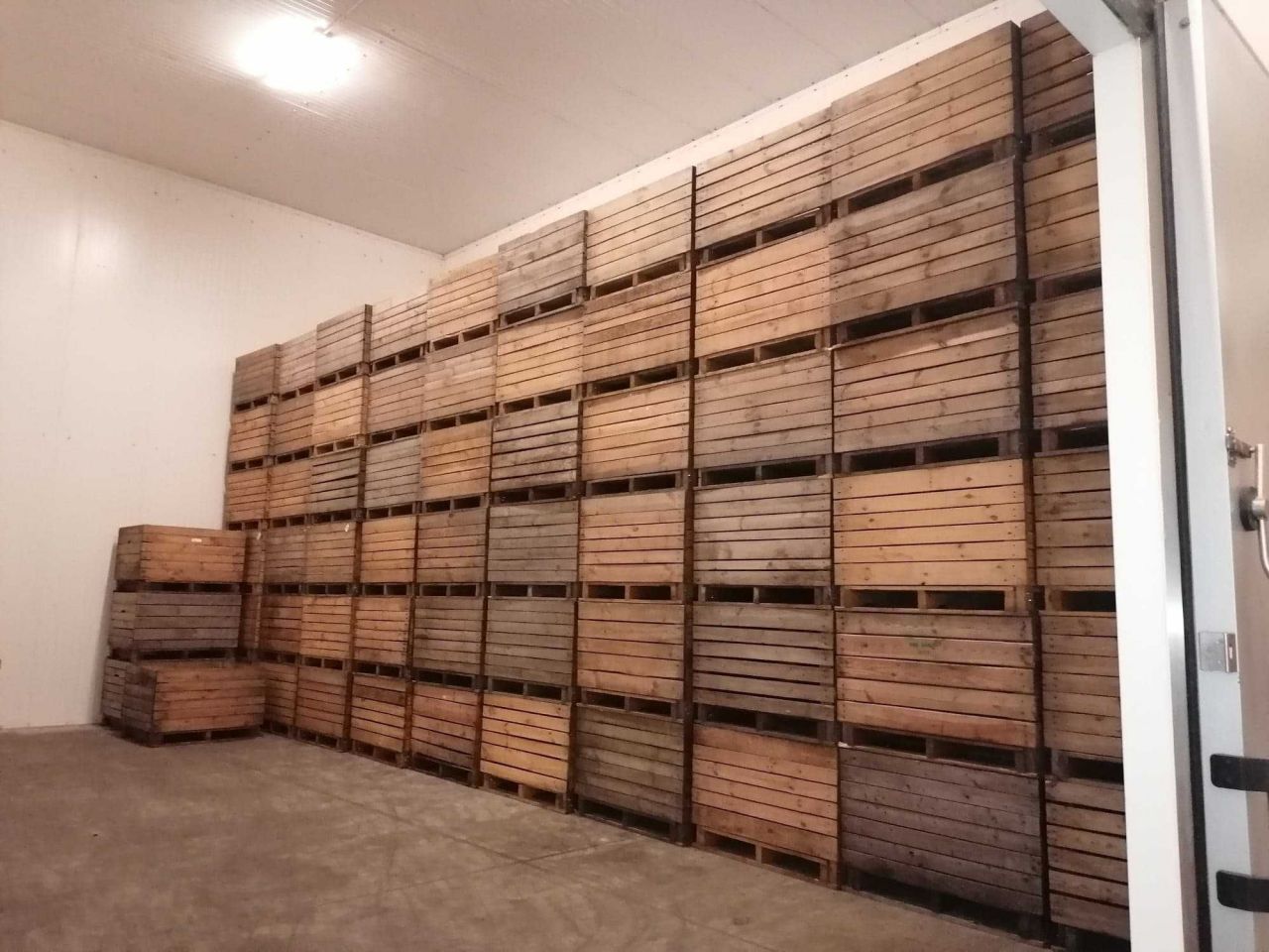 Hala/magazyn Dobiegniew. Zdjęcie 4