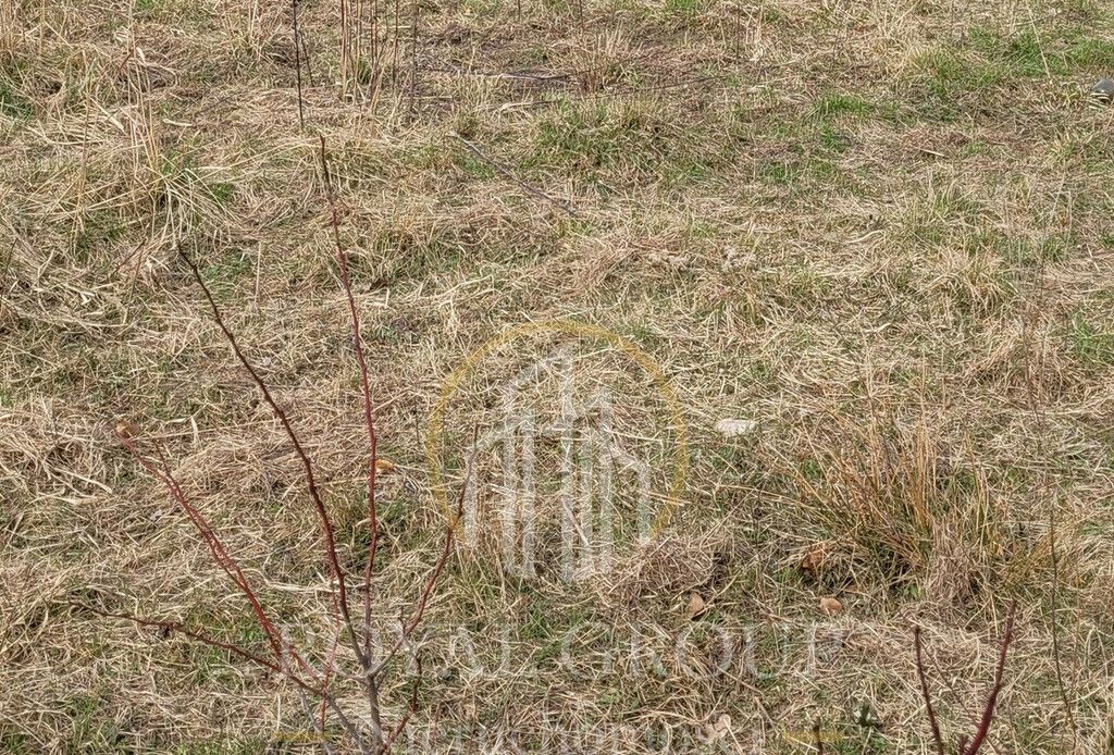 Działka budowlana Firlej. Zdjęcie 5