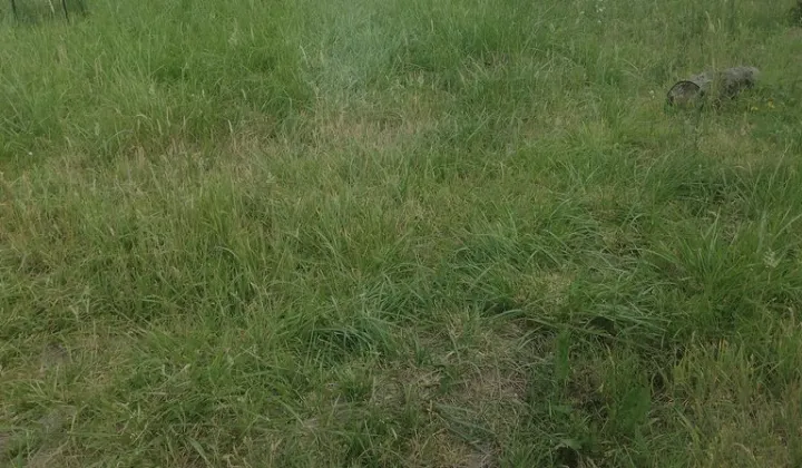 Działka inwestycyjna Grodzisk Mazowiecki Centrum, ul. E. Orzeszkowej