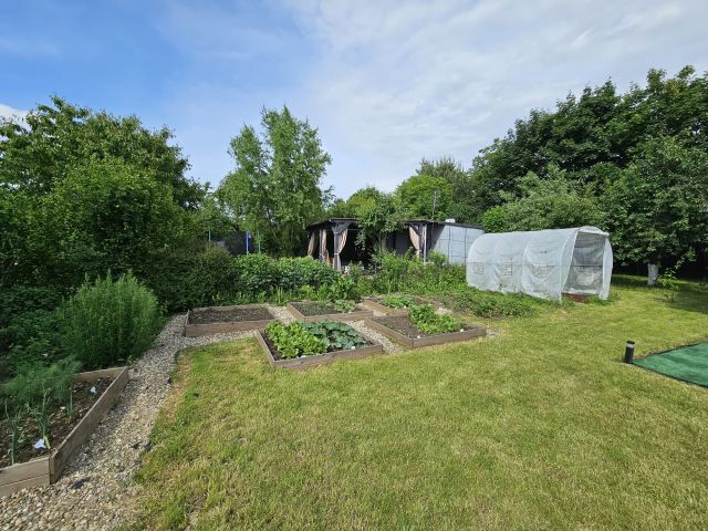 Działka rekreacyjna Racibórz Płonia. Zdjęcie 6