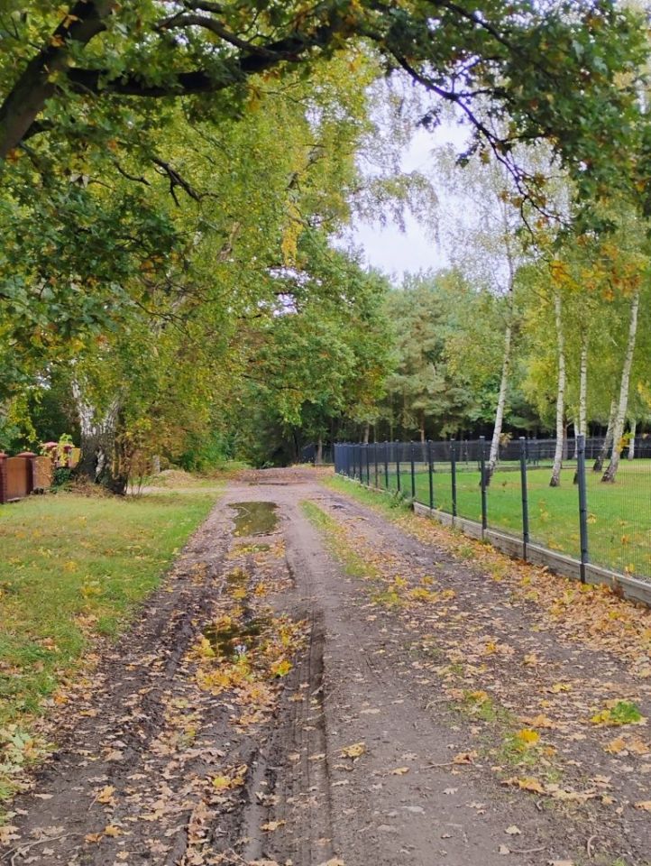 Działka budowlana Połchowo. Zdjęcie 8