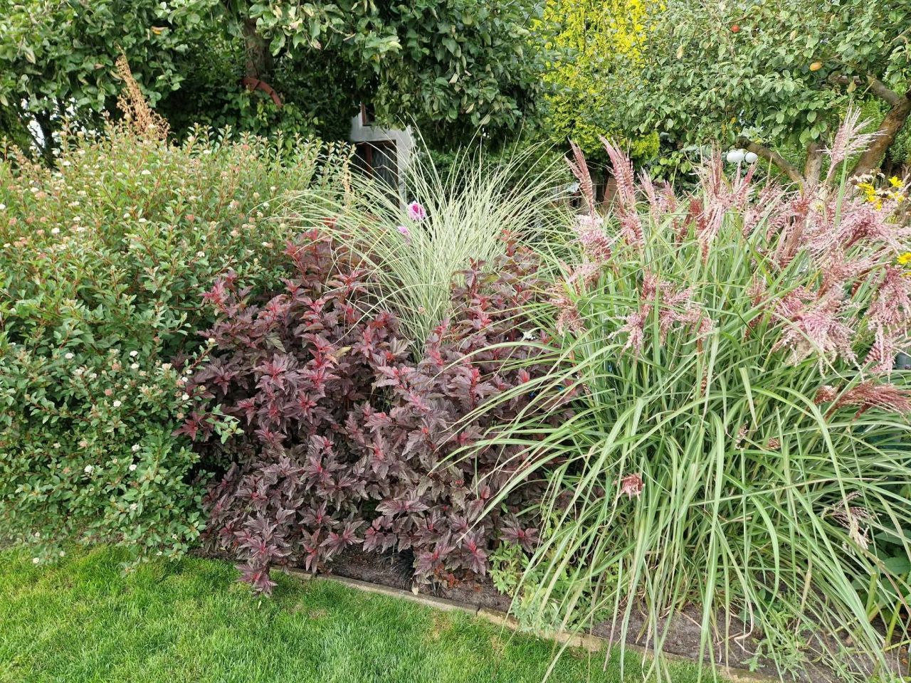 Działka rod Dębostrów, ul. Zielona. Zdjęcie 6