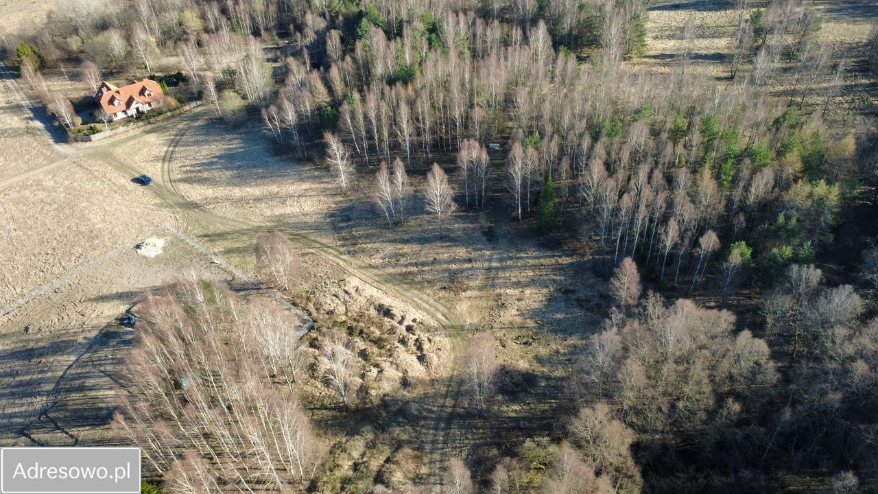 Działka budowlana Salino. Zdjęcie 7