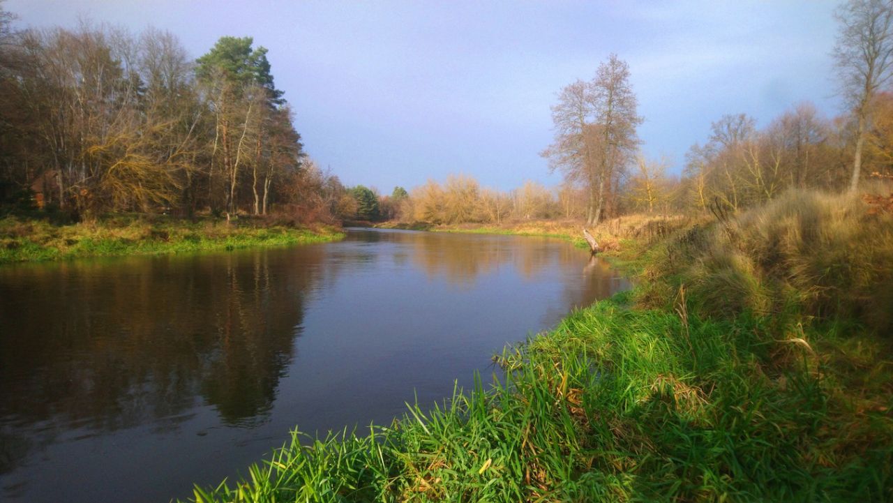 Działka budowlana Popielżyn-Zawady. Zdjęcie 6